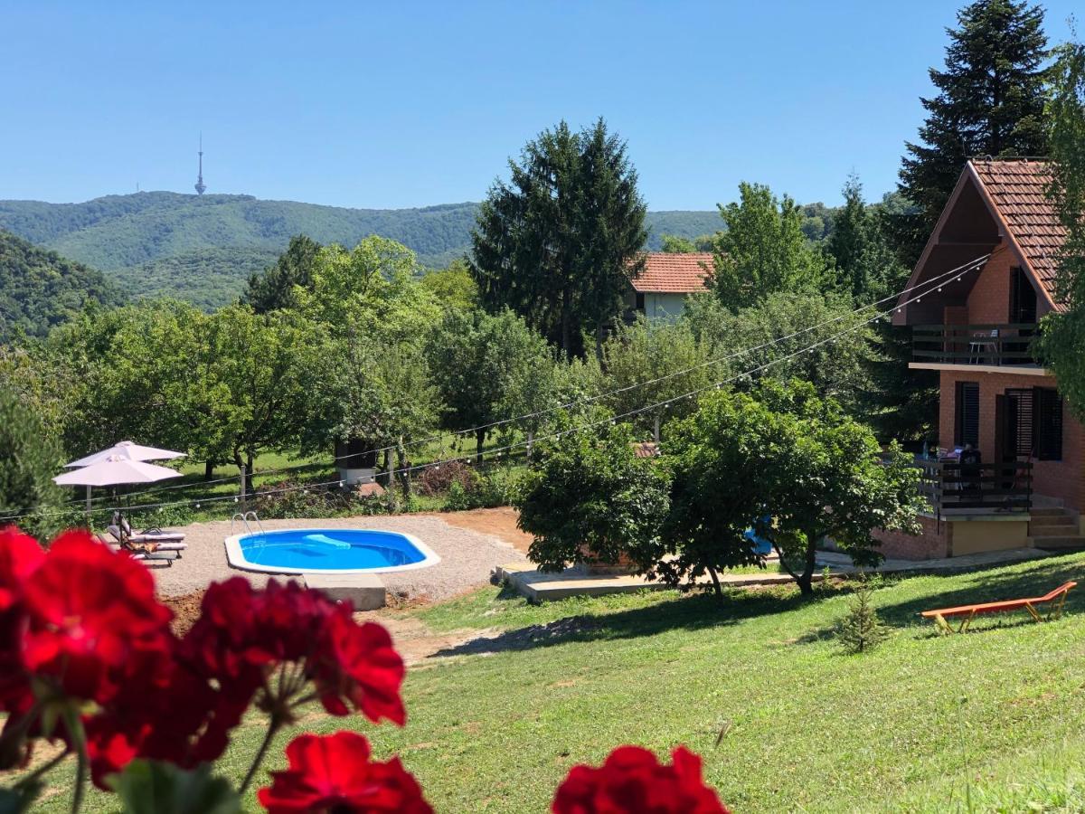 Fruska Pool House Villa Sremska Kamenica Exterior foto