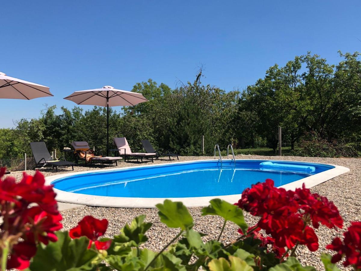 Fruska Pool House Villa Sremska Kamenica Exterior foto