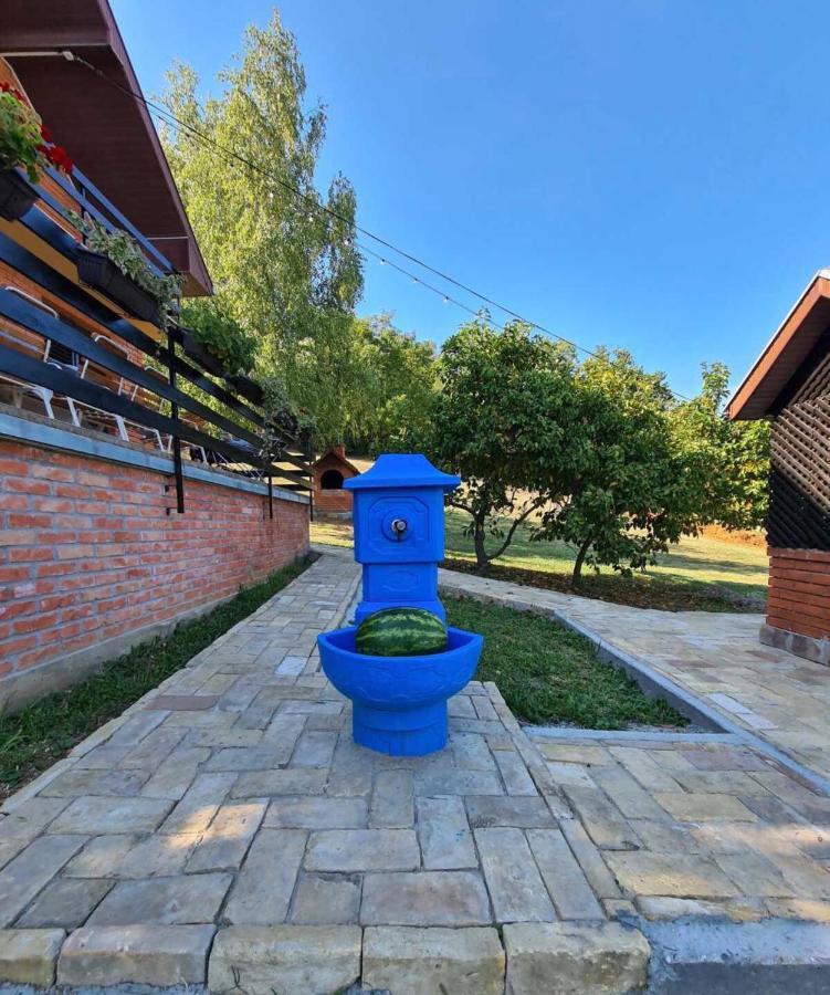 Fruska Pool House Villa Sremska Kamenica Exterior foto