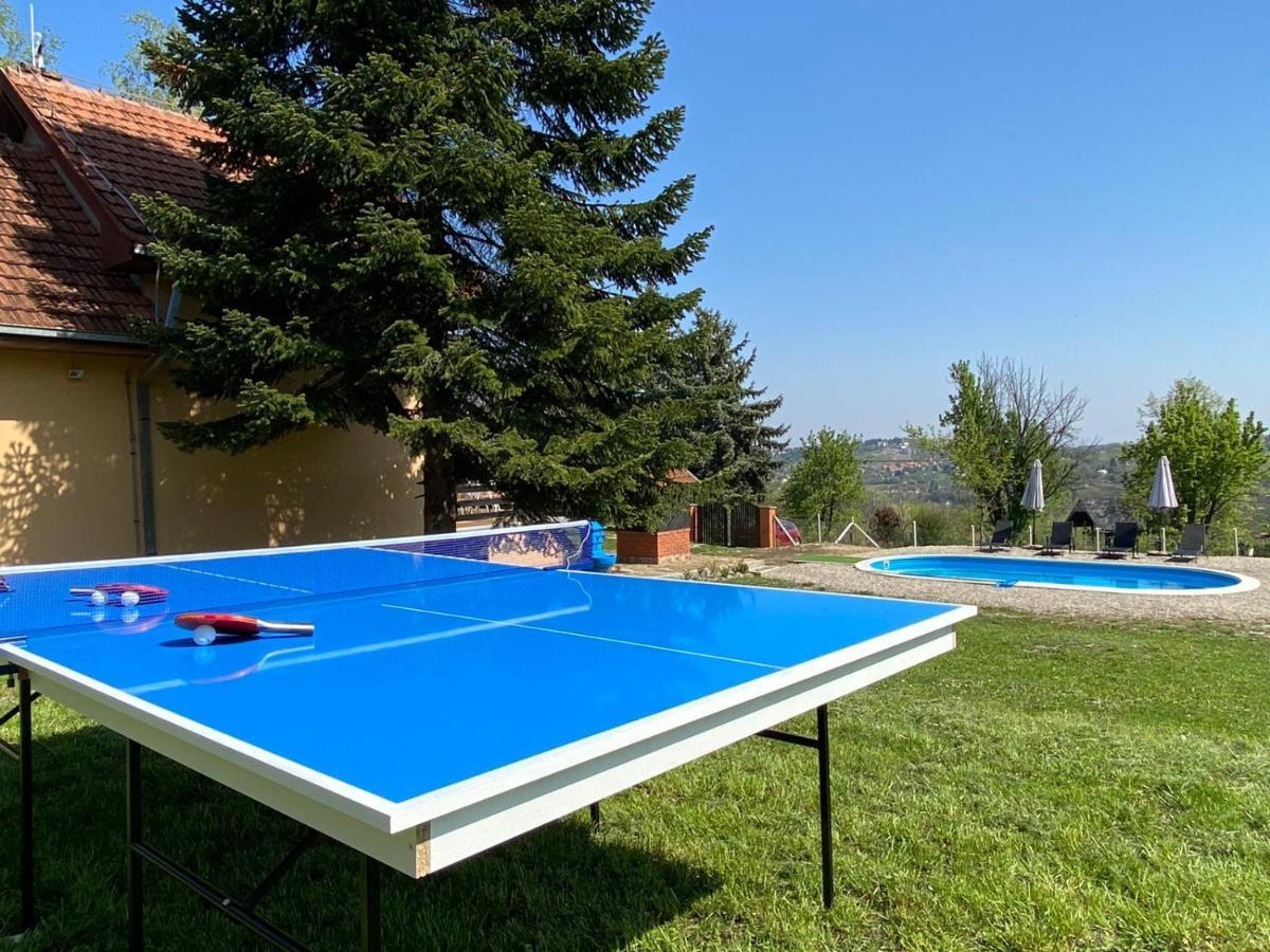 Fruska Pool House Villa Sremska Kamenica Exterior foto