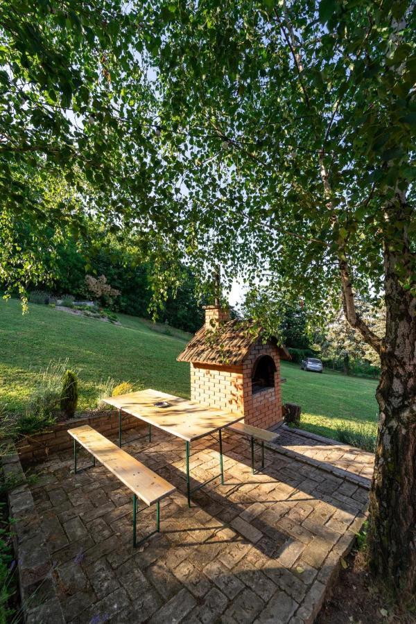 Fruska Pool House Villa Sremska Kamenica Exterior foto