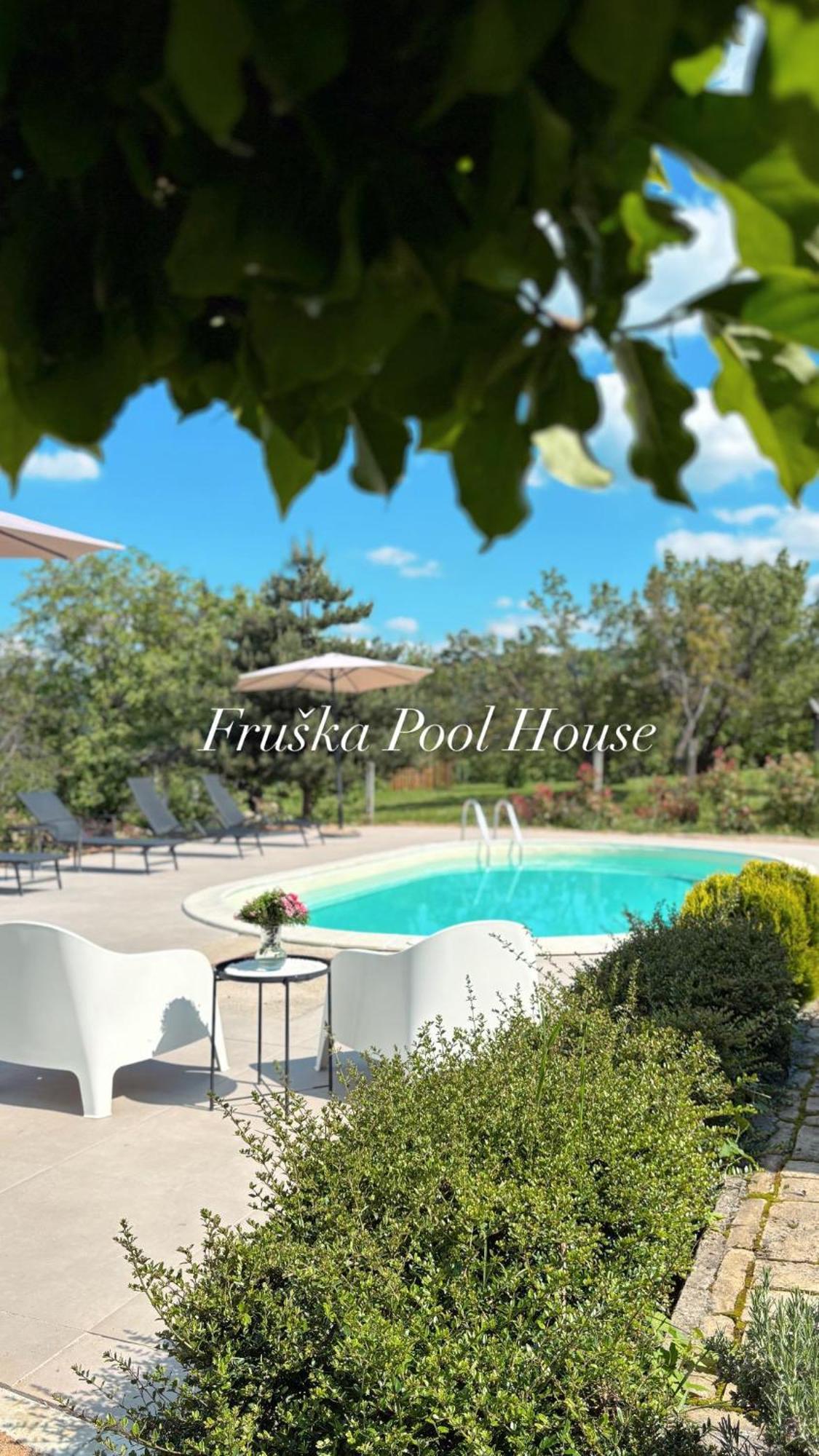 Fruska Pool House Villa Sremska Kamenica Exterior foto