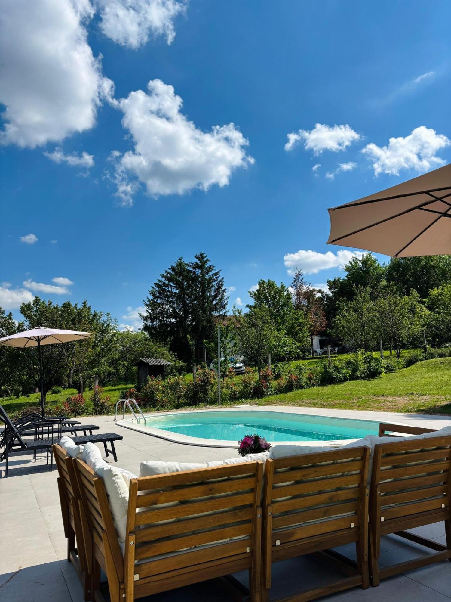 Fruska Pool House Villa Sremska Kamenica Exterior foto