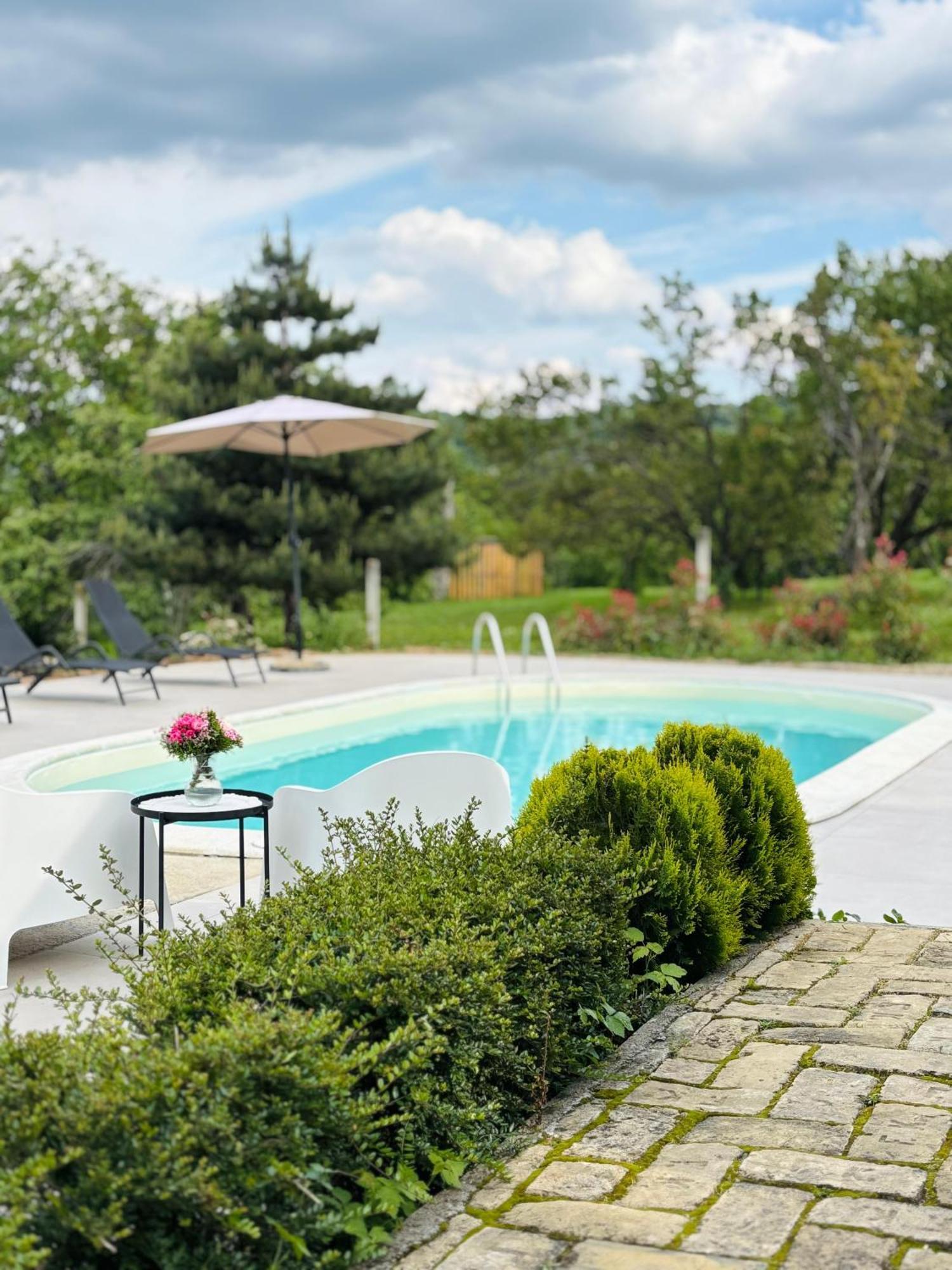 Fruska Pool House Villa Sremska Kamenica Exterior foto