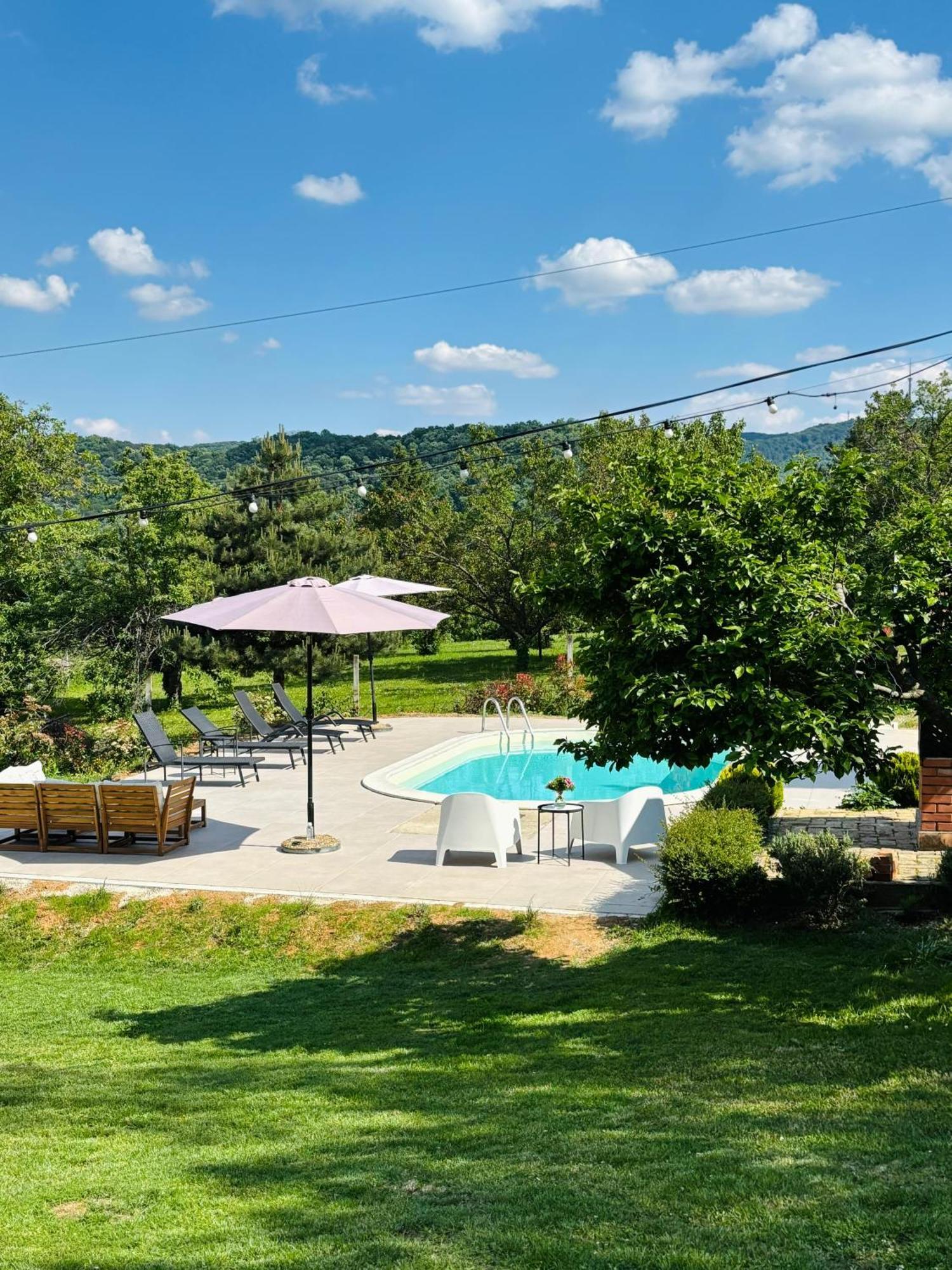 Fruska Pool House Villa Sremska Kamenica Exterior foto