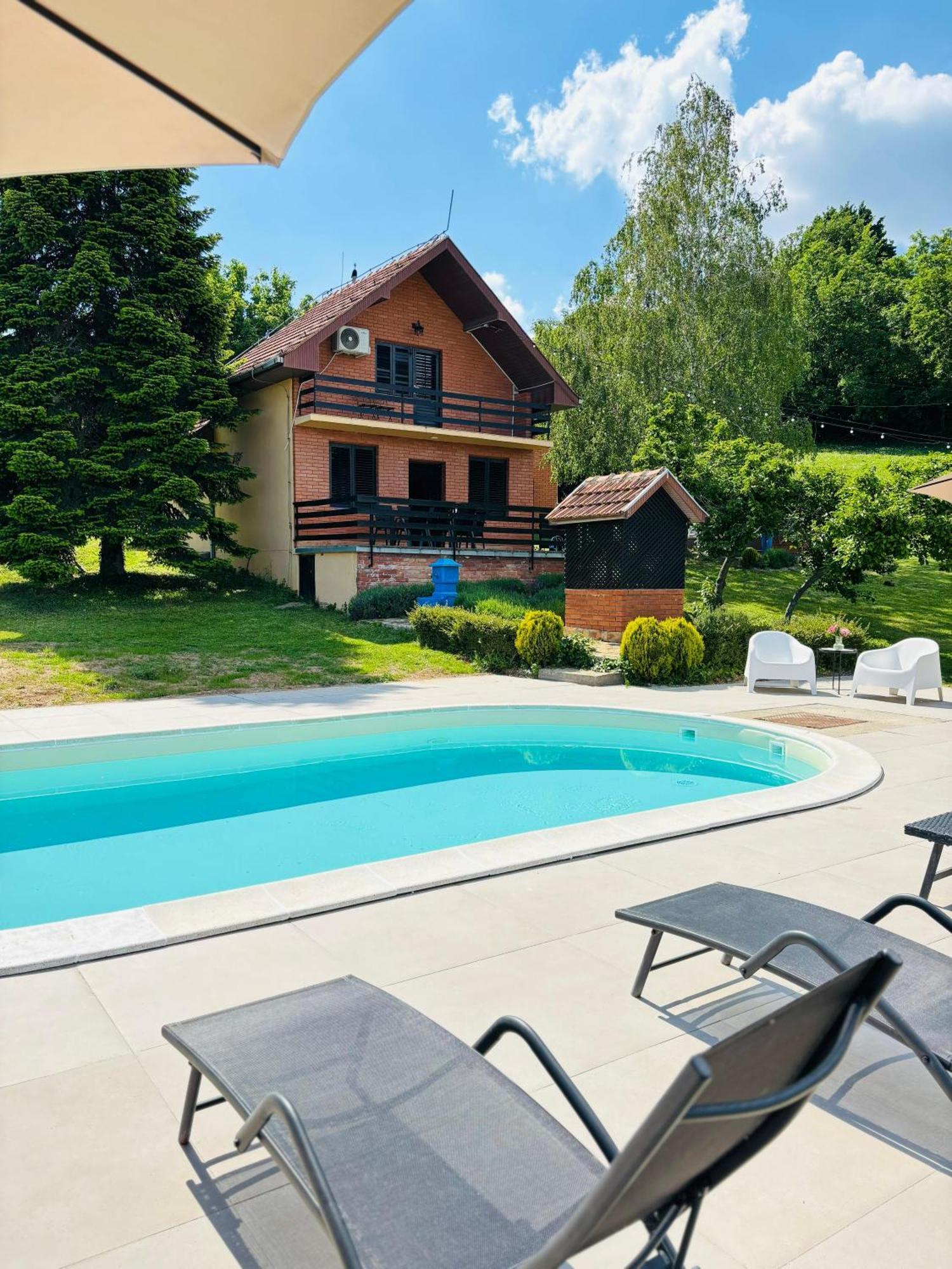 Fruska Pool House Villa Sremska Kamenica Exterior foto